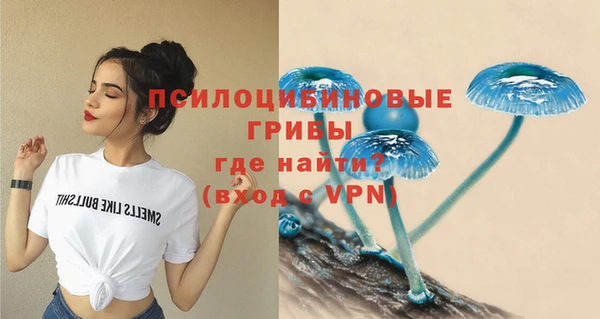 дурь Аркадак