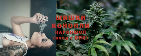 гашиш Богданович