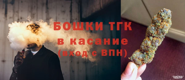 прущие грибы Богородск