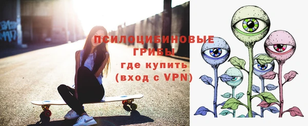 гашиш Богданович