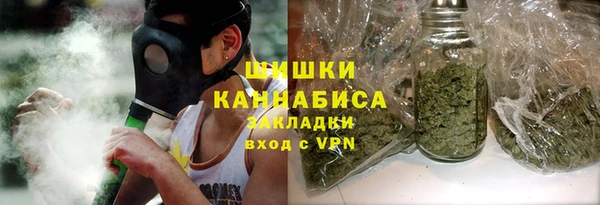 прущие грибы Богородск