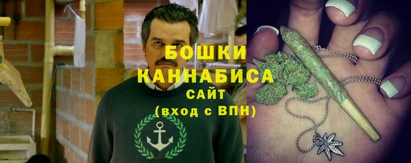 прущие грибы Богородск