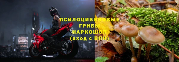дурь Аркадак