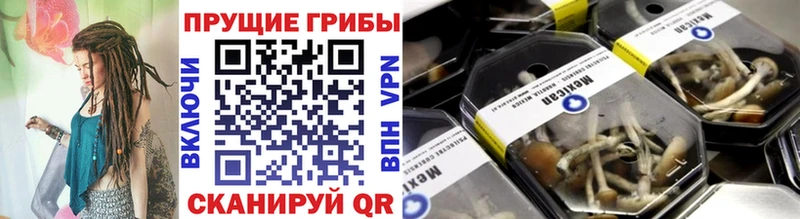 Галлюциногенные грибы прущие грибы  Нея 